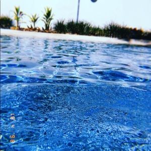 Meet your Posher, Daisy